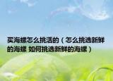 买海螺怎么挑活的（怎么挑选新鲜的海螺 如何挑选新鲜的海螺）