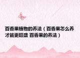百香果植物的养法（百香果怎么养才能更旺盛 百香果的养法）