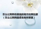 怎么让狗狗在固定的地方拉屎拉尿（怎么让狗狗固定去厕所尿尿）