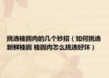 挑选桂圆肉的几个妙招（如何挑选新鲜桂圆 桂圆肉怎么挑选好坏）