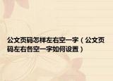 公文页码怎样左右空一字（公文页码左右各空一字如何设置）