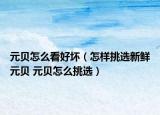 元贝怎么看好坏（怎样挑选新鲜元贝 元贝怎么挑选）