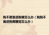 狗不愿意进狗窝怎么办（狗狗不肯进狗窝睡觉怎么办）