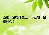 五险一金指什么工厂（五险一金指什么）