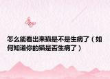 怎么能看出来猫是不是生病了（如何知道你的猫是否生病了）