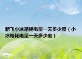 新飞小冰箱耗电量一天多少度（小冰箱耗电量一天多少度）