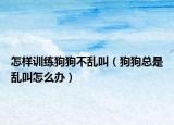 怎样训练狗狗不乱叫（狗狗总是乱叫怎么办）