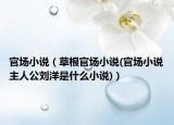 官场小说（草根官场小说(官场小说主人公刘洋是什么小说)）