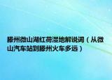滕州微山湖红荷湿地解说词（从微山汽车站到滕州火车多远）