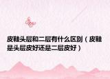 皮鞋头层和二层有什么区别（皮鞋是头层皮好还是二层皮好）