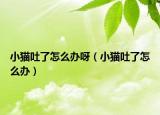 小猫吐了怎么办呀（小猫吐了怎么办）
