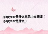 gapyear是什么意思中文翻译（gapyear是什么）