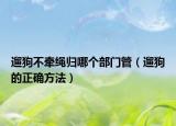 遛狗不牵绳归哪个部门管（遛狗的正确方法）