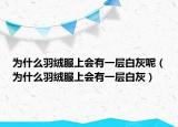 为什么羽绒服上会有一层白灰呢（为什么羽绒服上会有一层白灰）