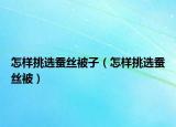 怎样挑选蚕丝被子（怎样挑选蚕丝被）
