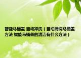 智能马桶盖 自动冲洗（自动清洗马桶盖方法 智能马桶盖的清洁有什么方法）
