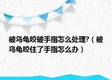 被乌龟咬破手指怎么处理?（被乌龟咬住了手指怎么办）