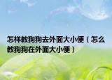 怎样教狗狗去外面大小便（怎么教狗狗在外面大小便）
