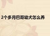 2个多月巴哥幼犬怎么养