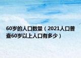 60岁的人口数量（2021人口普查60岁以上人口有多少）
