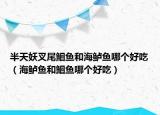 半天妖叉尾鮰鱼和海鲈鱼哪个好吃（海鲈鱼和鮰鱼哪个好吃）