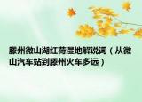 滕州微山湖红荷湿地解说词（从微山汽车站到滕州火车多远）