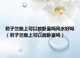 君子兰晚上可以放卧室吗风水好吗（君子兰晚上可以放卧室吗）