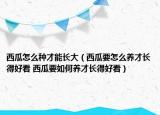 西瓜怎么种才能长大（西瓜要怎么养才长得好看 西瓜要如何养才长得好看）