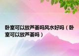 卧室可以放芦荟吗风水好吗（卧室可以放芦荟吗）