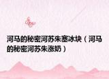 河马的秘密河苏朱塞冰块（河马的秘密河苏朱涨奶）