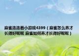 麻雀连连看小游戏4399（麻雀怎么养才长得好呢呢 麻雀如何养才长得好呢呢）