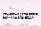 常见的葡萄种类（常见的葡萄有哪些品种 有什么常见的葡萄品种）