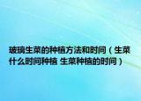 玻璃生菜的种植方法和时间（生菜什么时间种植 生菜种植的时间）