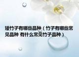 矮竹子有哪些品种（竹子有哪些常见品种 有什么常见竹子品种）