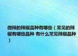 微辣的辣椒品种有哪些（常见的辣椒有哪些品种 有什么常见辣椒品种）