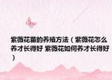 紫薇花苗的养殖方法（紫薇花怎么养才长得好 紫薇花如何养才长得好）