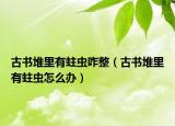 古书堆里有蛀虫咋整（古书堆里有蛀虫怎么办）