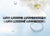 山药什么时间种植 山药种植的时间最长（山药什么时间种植 山药种植的时间）