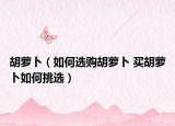 胡萝卜（如何选购胡萝卜 买胡萝卜如何挑选）