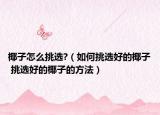 椰子怎么挑选?（如何挑选好的椰子 挑选好的椰子的方法）
