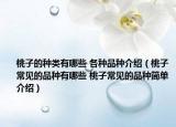桃子的种类有哪些 各种品种介绍（桃子常见的品种有哪些 桃子常见的品种简单介绍）