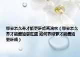 绿萝怎么养才能更旺盛酱油水（绿萝怎么养才能酱油更旺盛 如何养绿萝才能酱油更旺盛）