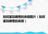 如何鉴别麝香的真假图片（如何鉴别麝香的真假）