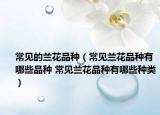 常见的兰花品种（常见兰花品种有哪些品种 常见兰花品种有哪些种类）