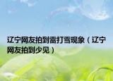 辽宁网友拍到雷打雪现象（辽宁网友拍到少见）