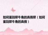 如何鉴别犀牛角的真假犀（如何鉴别犀牛角的真假）