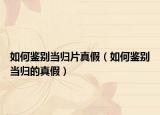 如何鉴别当归片真假（如何鉴别当归的真假）