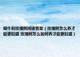 蜗牛和玫瑰树阅读答案（玫瑰树怎么养才能更旺盛 玫瑰树怎么如何养才能更旺盛）