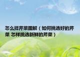 怎么择芹菜图解（如何挑选好的芹菜 怎样挑选新鲜的芹菜）