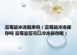 蓝莓能冰冻起来吗（蓝莓能冷冻保存吗 蓝莓是否可以冷冻保存呢）